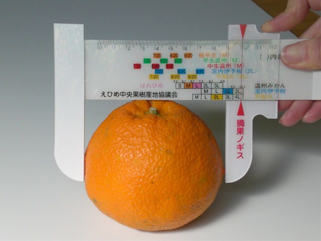 農業 ⁄ 漁業 ⁄ 林業 ⁄ 水産業の施工事例