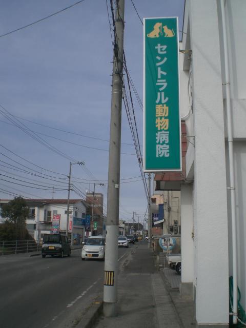 動物病院 ⁄ ペットショップの施工事例