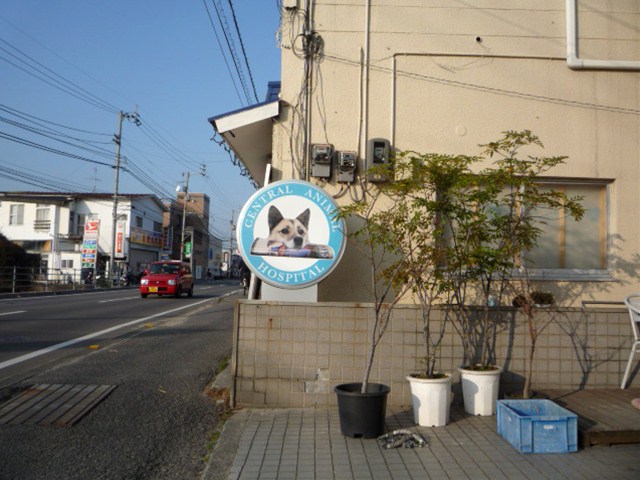 動物病院 ⁄ ペットショップの施工事例